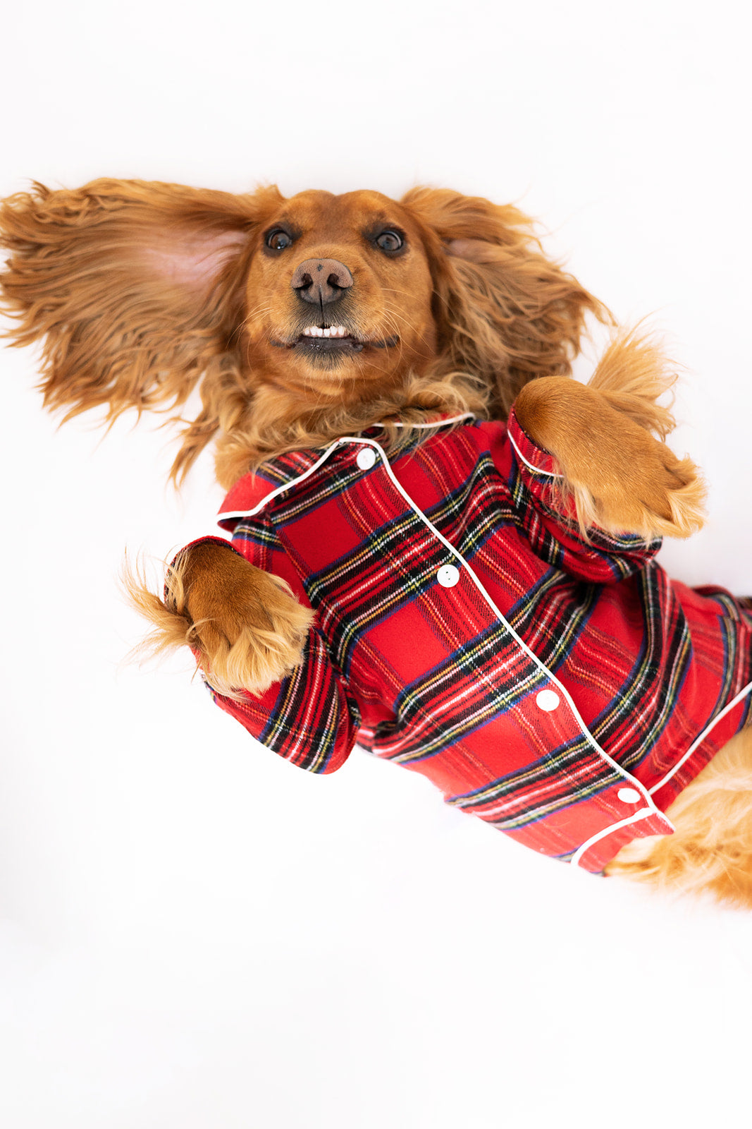 Personalised Tartan Christmas Dog Pyjamas