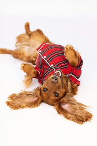 Personalised Tartan Christmas Dog Pyjamas